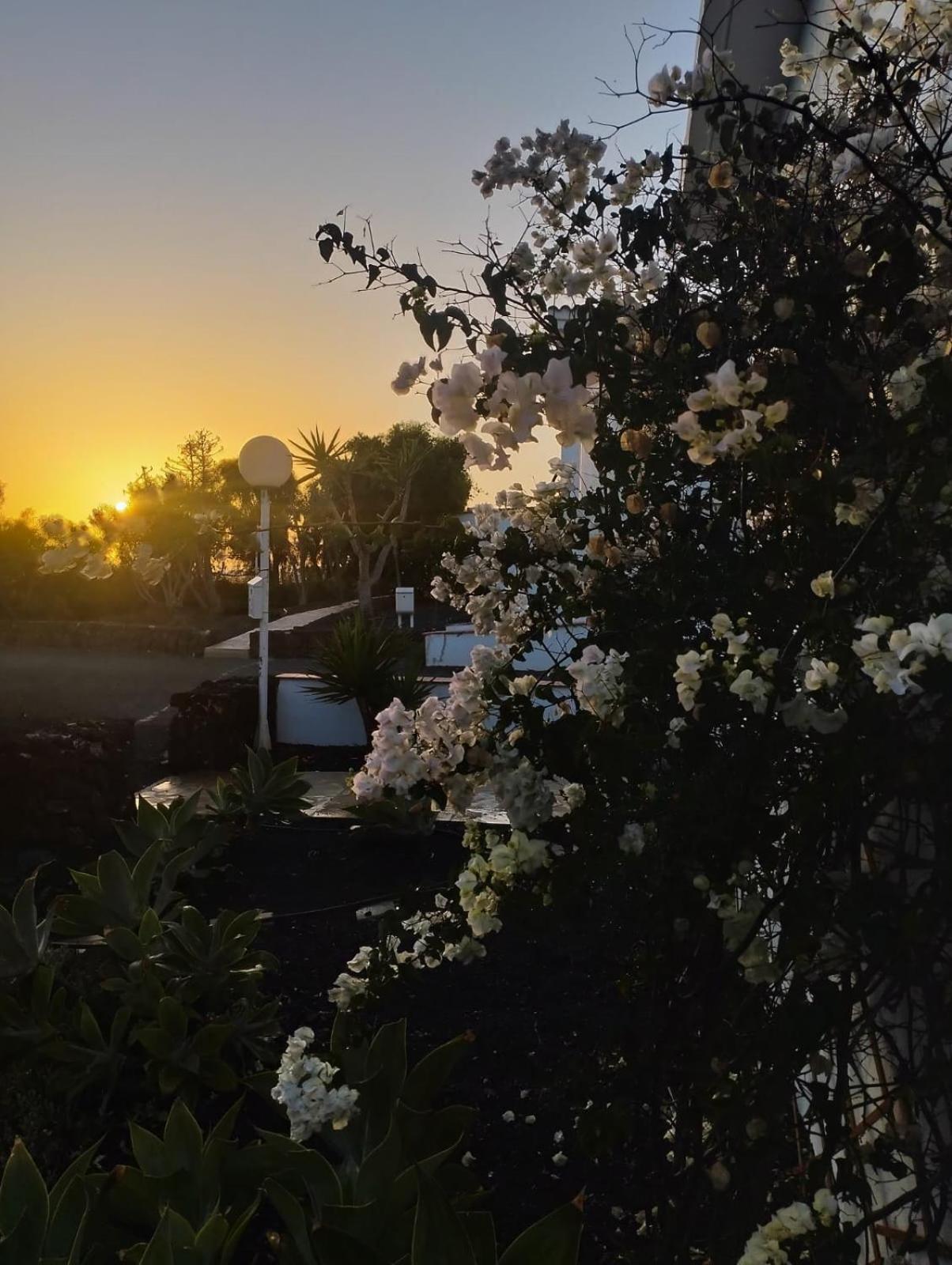 Casa Ina In El Roque, El Cotillo エクステリア 写真