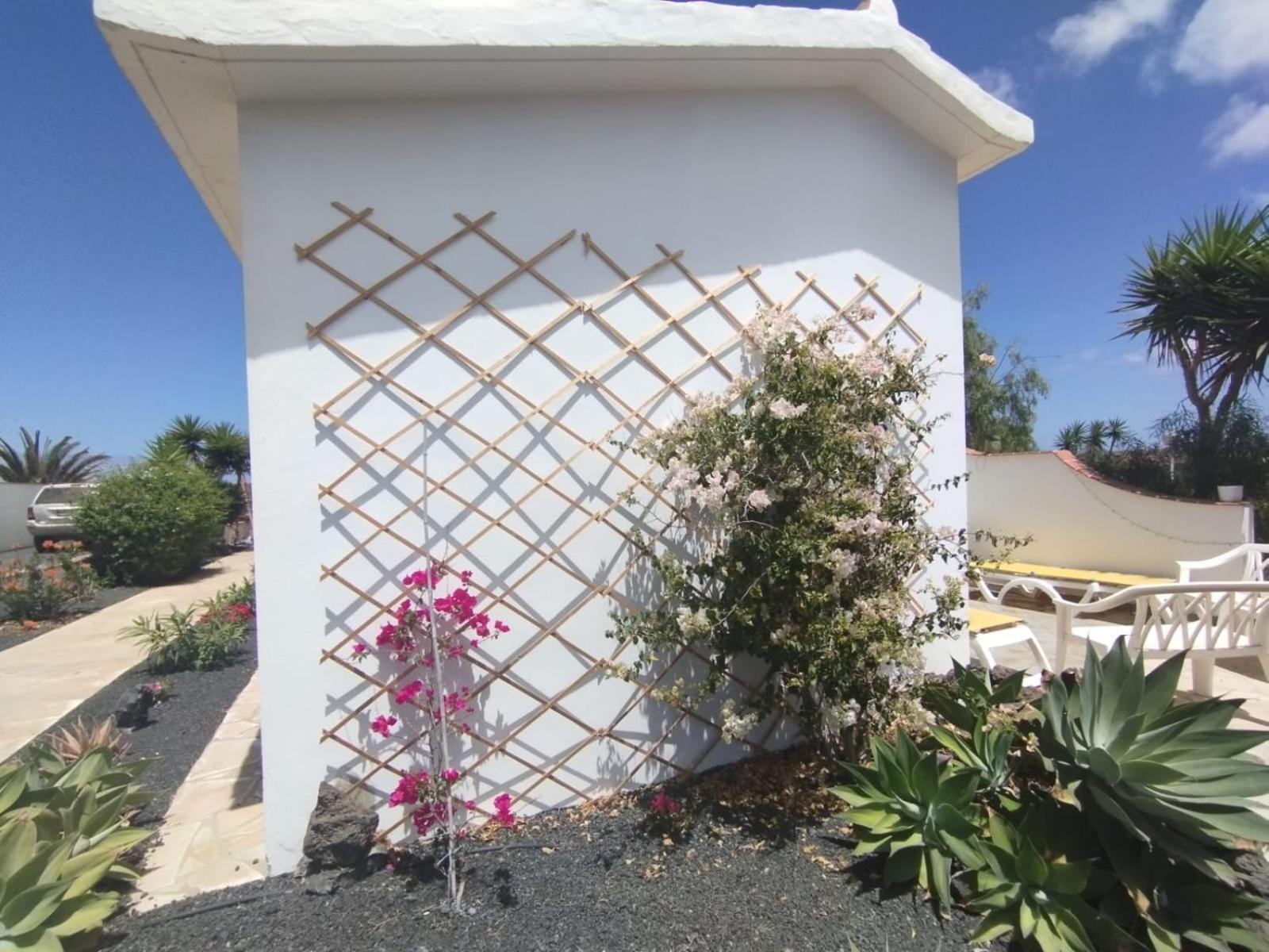 Casa Ina In El Roque, El Cotillo エクステリア 写真